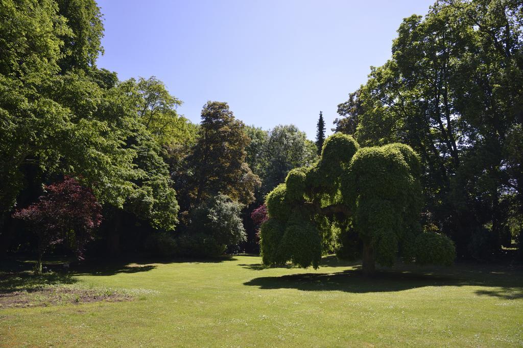 Le Chateau D'Hermonville B&B / Chambres D'Hotes Zewnętrze zdjęcie