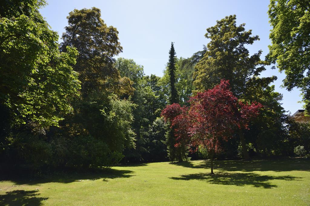 Le Chateau D'Hermonville B&B / Chambres D'Hotes Zewnętrze zdjęcie